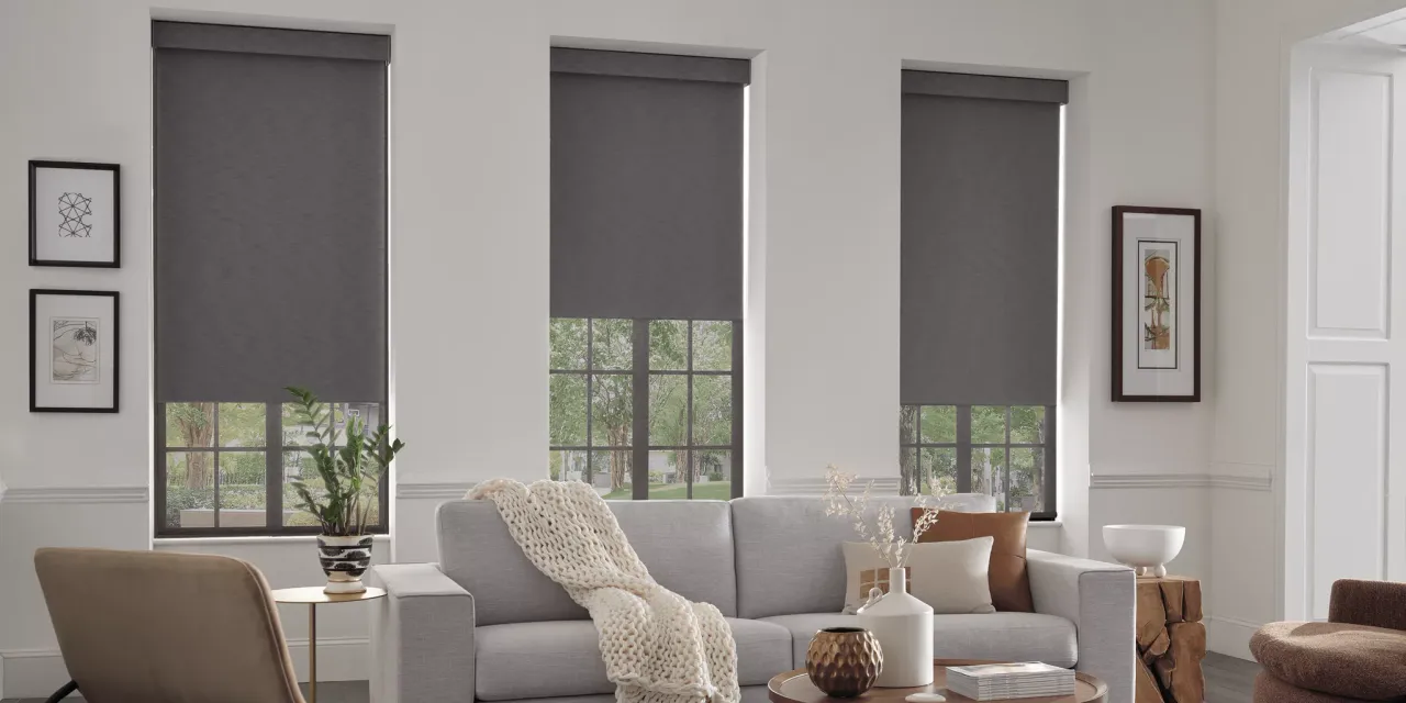 Living room with gray roller blinds on windows, gray sofa, and beige chair.