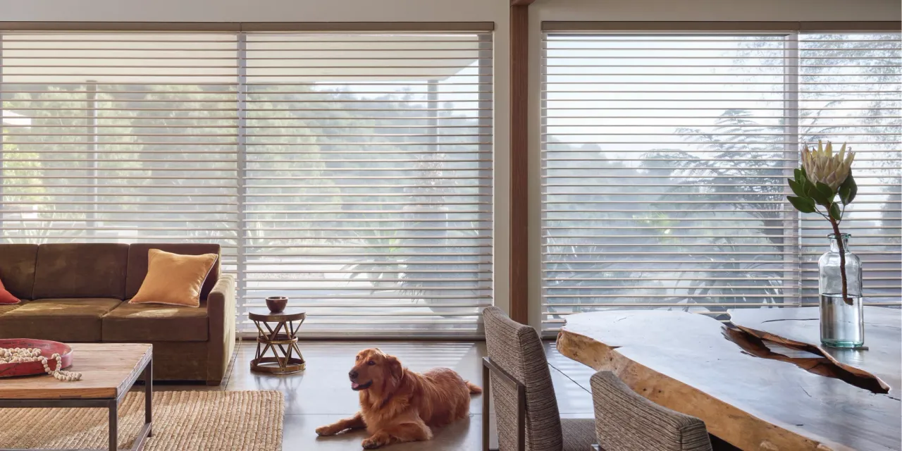 Living room with a dog lying on the floor, large windows with blinds, and a dining table.